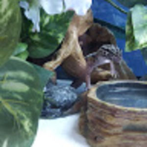 Meet your Posher, Socks